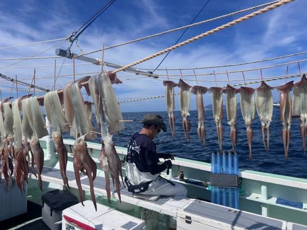 スルメ(スルメイカ)