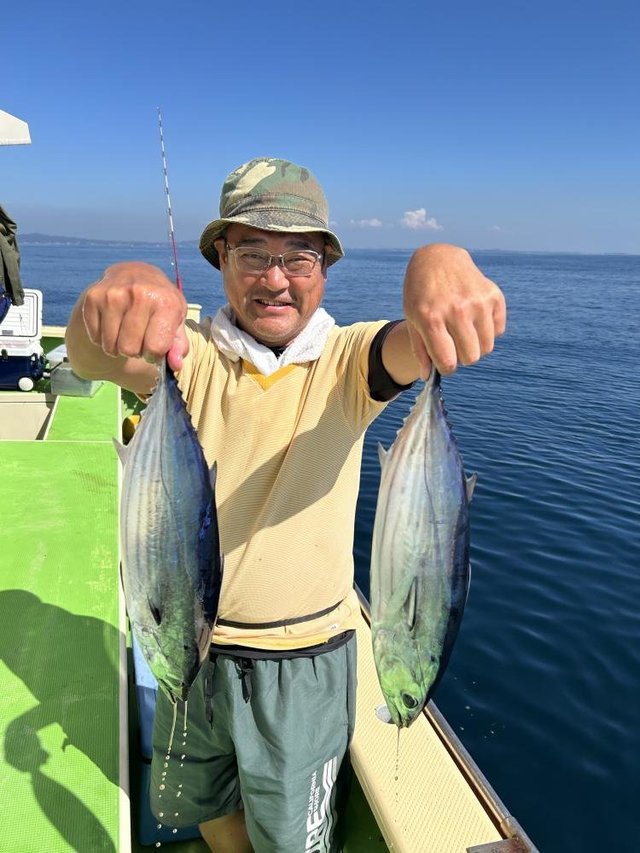 ホンガツオ(カツオ)