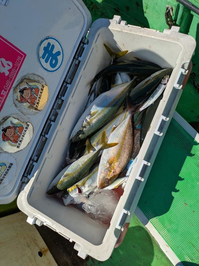 イナダ(ブリ)・カンパチ