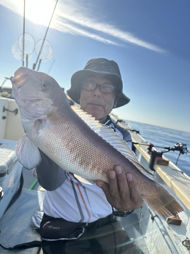 アマダイ(アカアマダイ)