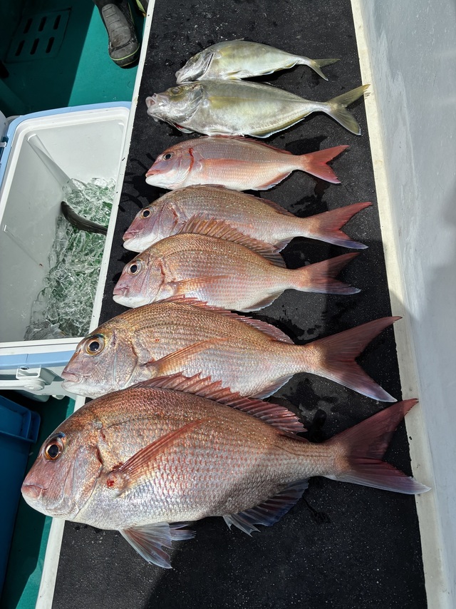 マダイ・チダイ・カイワリ