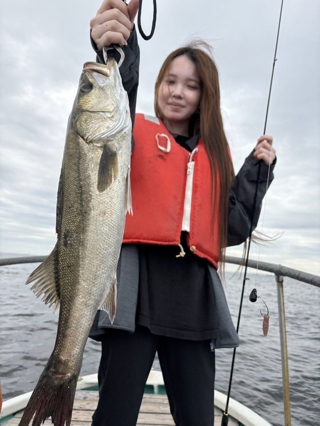 シーバス(スズキ)