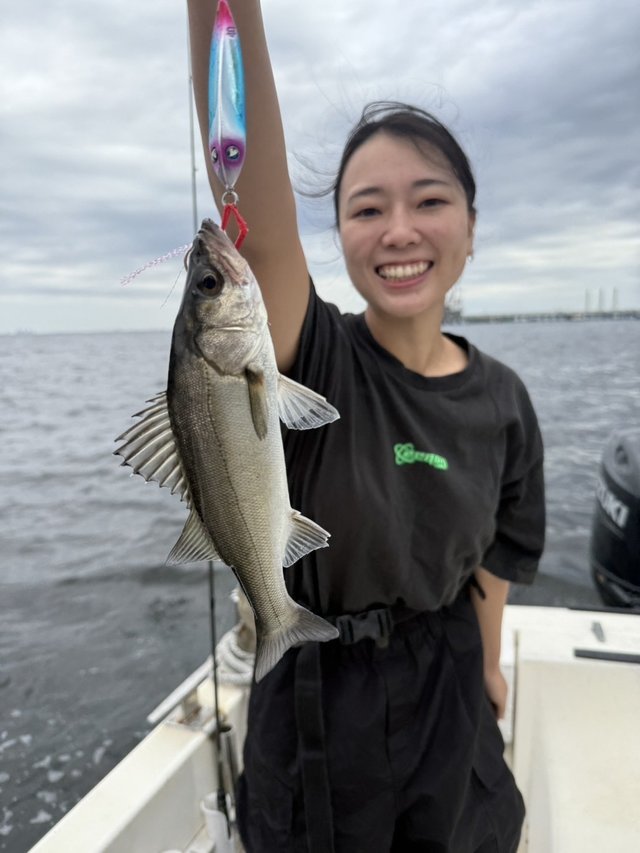 シーバス(スズキ)