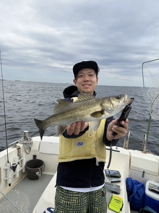 シーバス(スズキ)