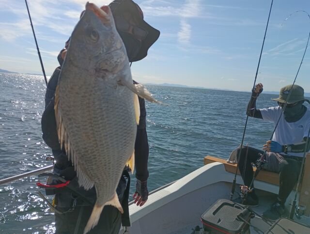 キビレ(キチヌ)