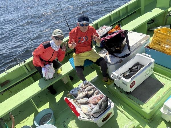 マダイ・カイワリ