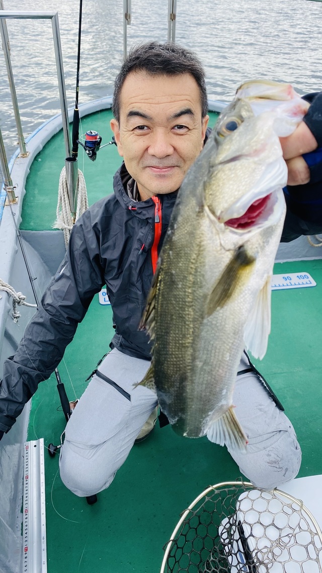 シーバス(スズキ)