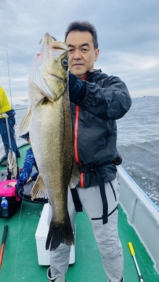 シーバス(スズキ)