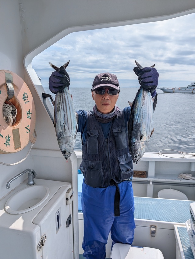 ホンガツオ(カツオ)