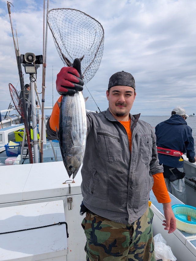 ホンガツオ(カツオ)