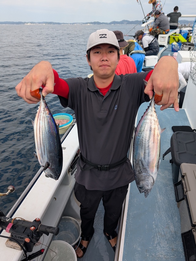 ホンガツオ(カツオ)