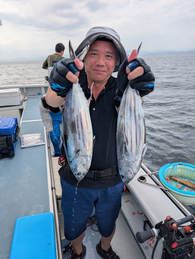 ホンガツオ(カツオ)