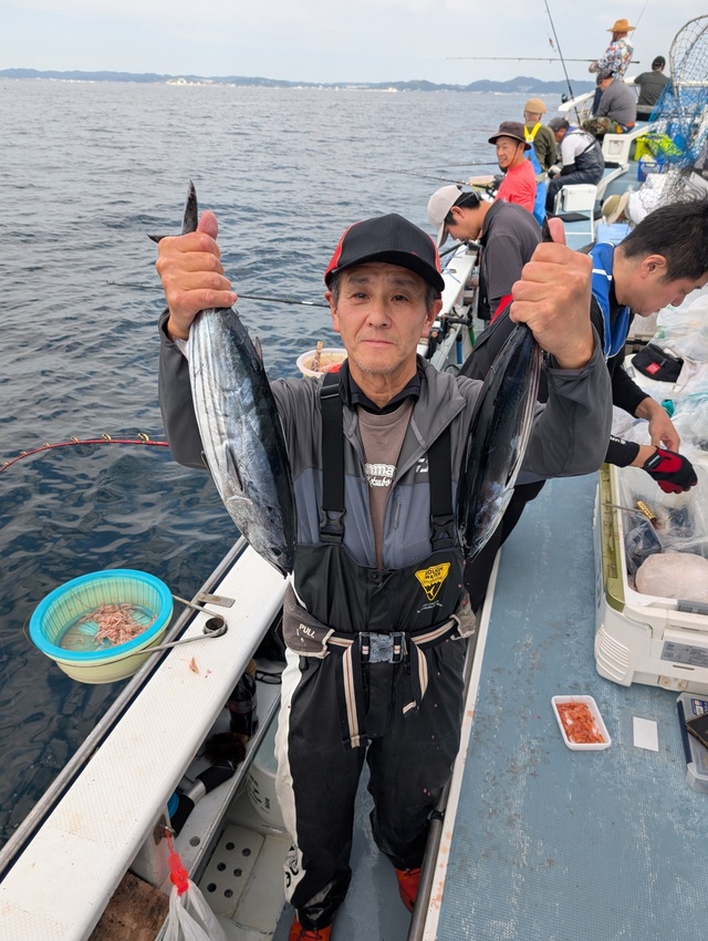 ホンガツオ(カツオ)