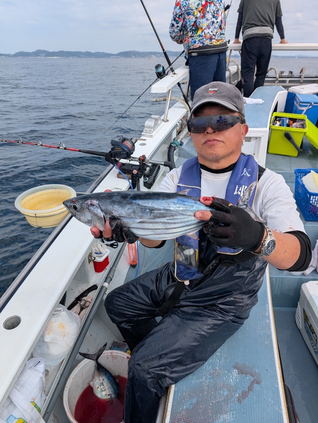 ホンガツオ(カツオ)