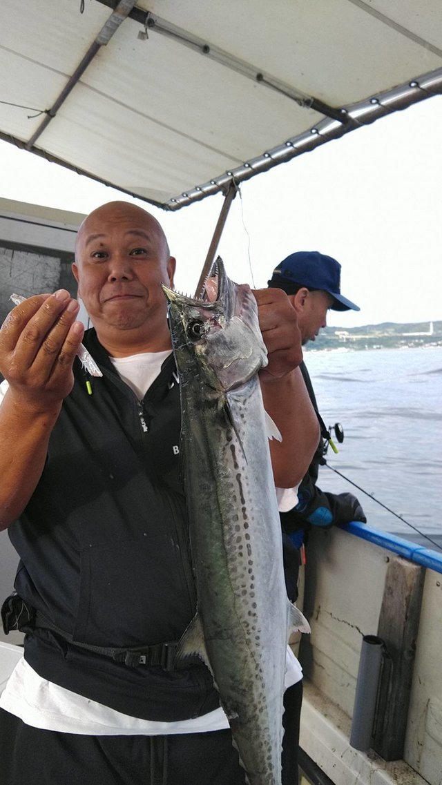 サゴシ(サワラ)