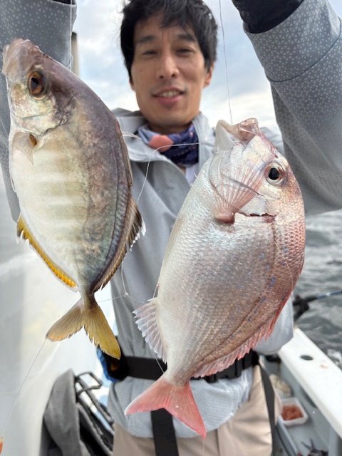 ハナダイ(チダイ)・カイワリ