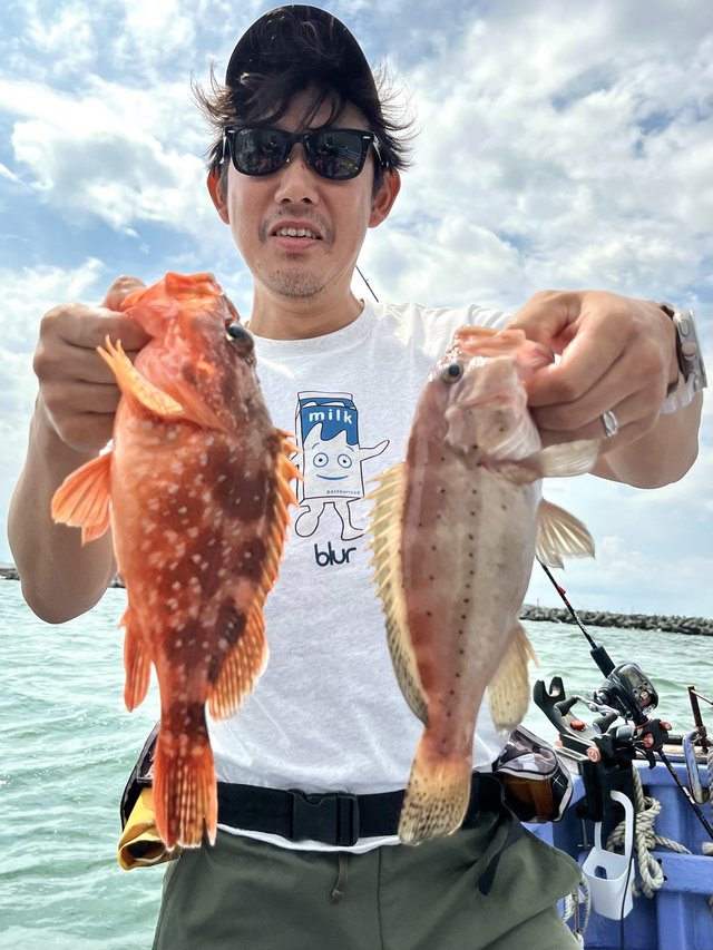 カサゴ・メバル