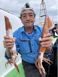 スルメ(スルメイカ)