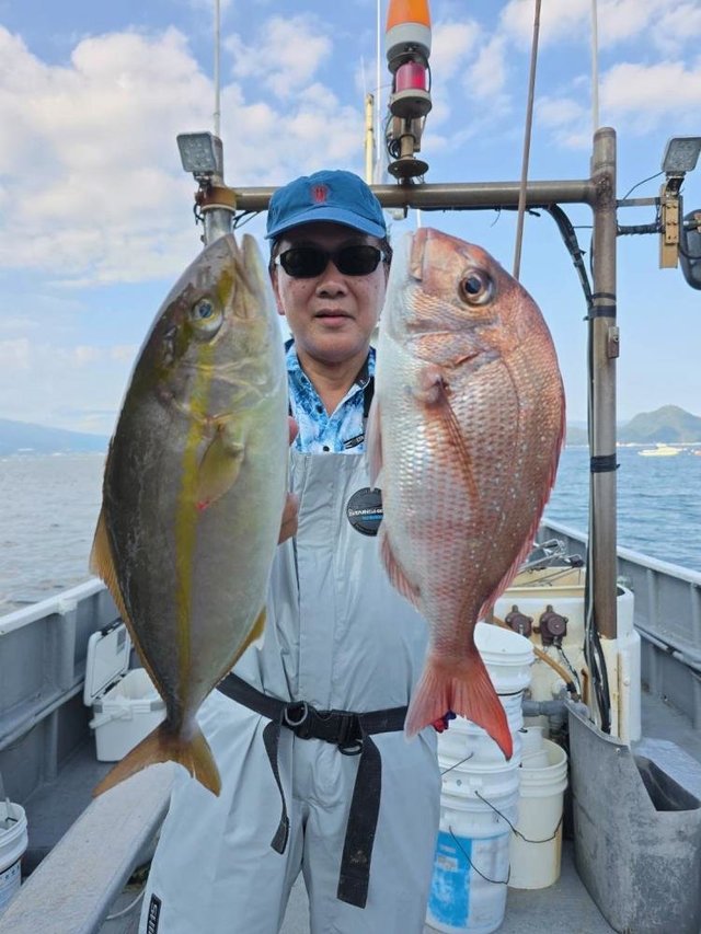 マダイ・ショゴ(カンパチ)