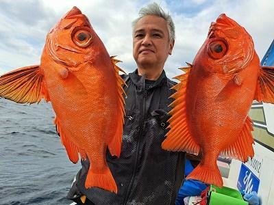 キントキ(チカメキントキ)