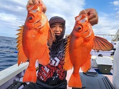 キントキ(チカメキントキ)