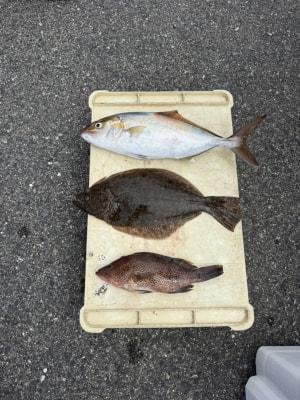 オオモンハタ・カンパチ・ヒラメ