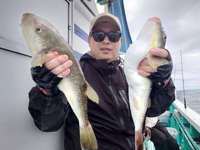 ショウサイフグ