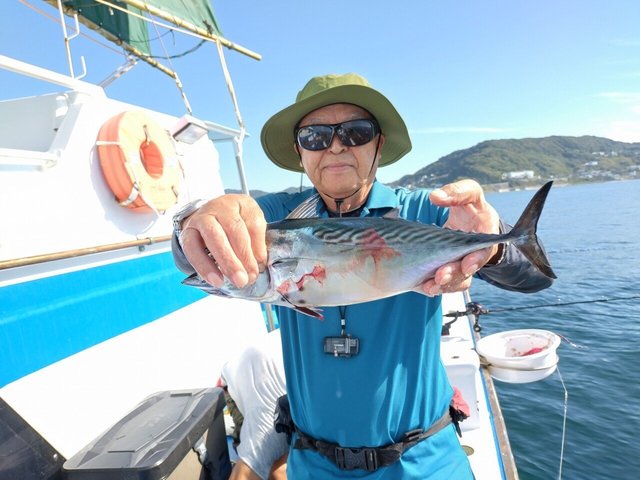 スマガツオ(スマ)