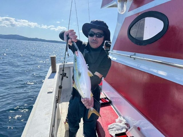 フクラギ(ブリ)