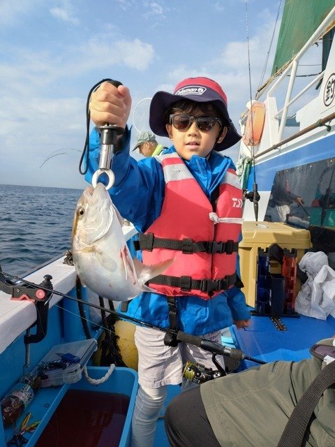 ショゴ(カンパチ)