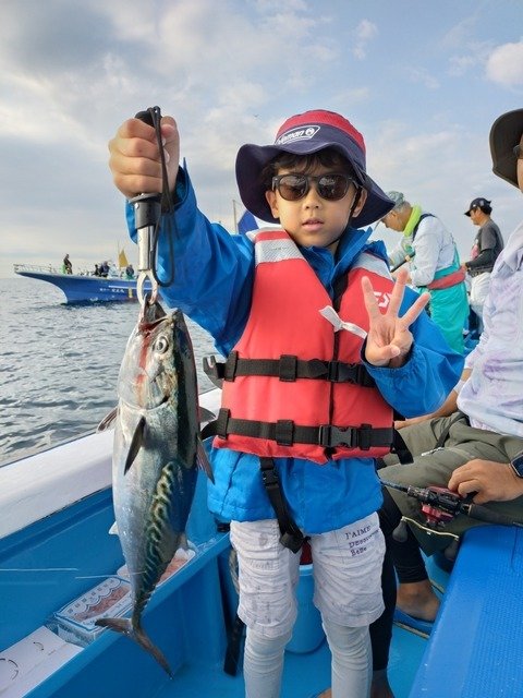 スマガツオ(スマ)