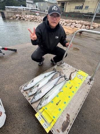 カンパチ・サワラ