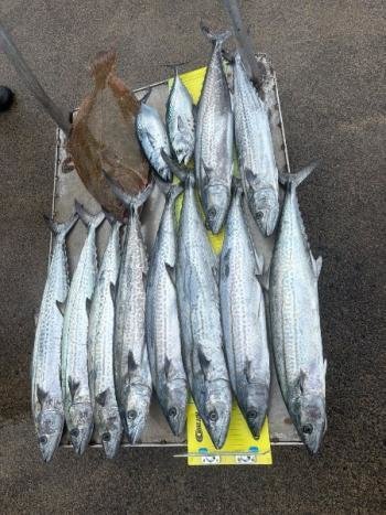 サワラ・ヒラメ・スマカツオ(スマ)