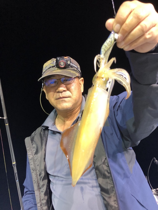 マルイカ(ケンサキイカ)