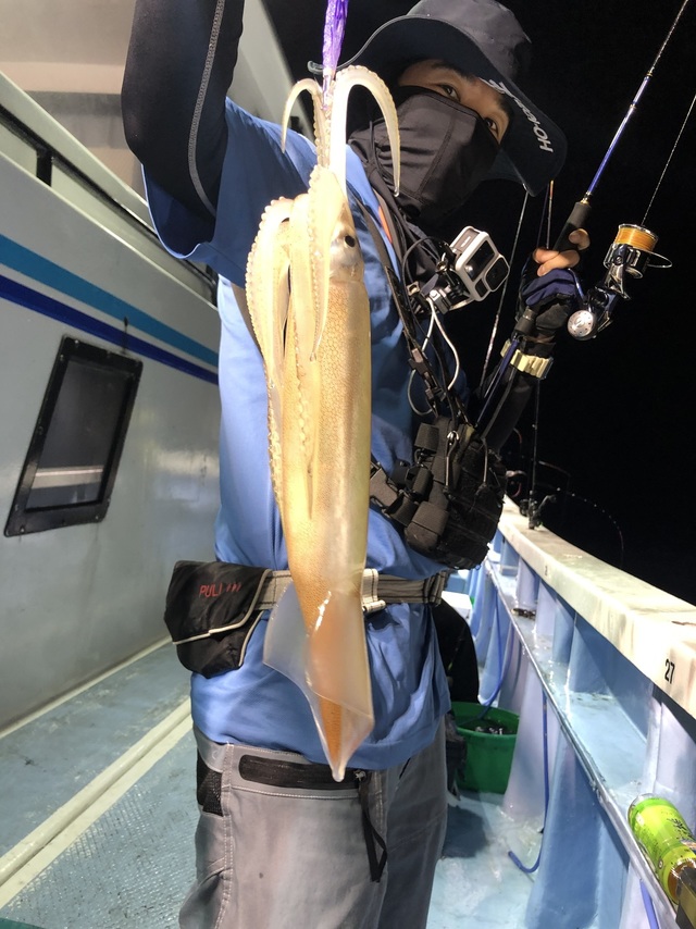 マルイカ(ケンサキイカ)