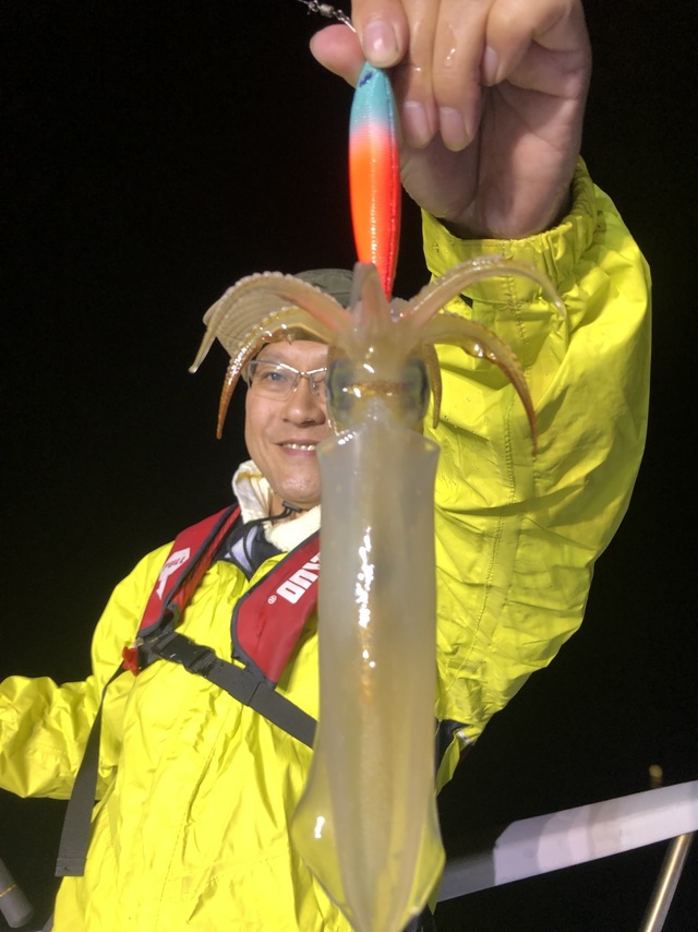 マルイカ(ケンサキイカ)