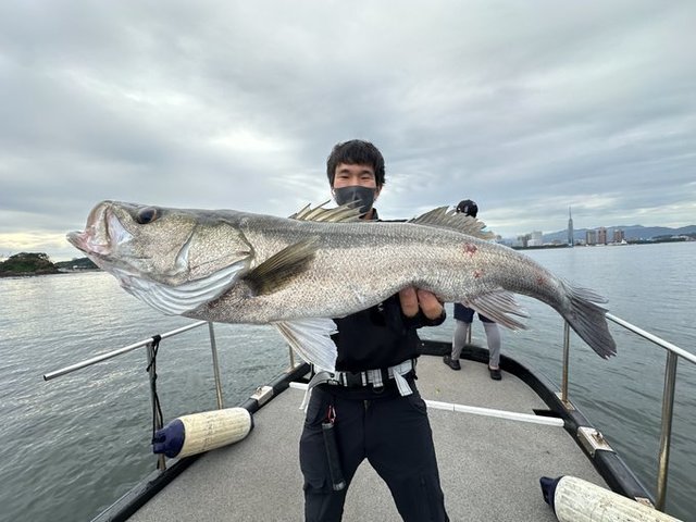 シーバス(スズキ)