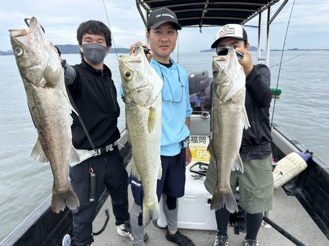 シーバス(スズキ)