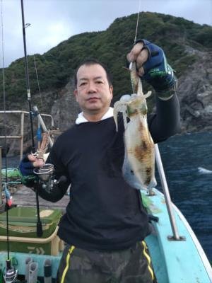 アオリ(アオリイカ)