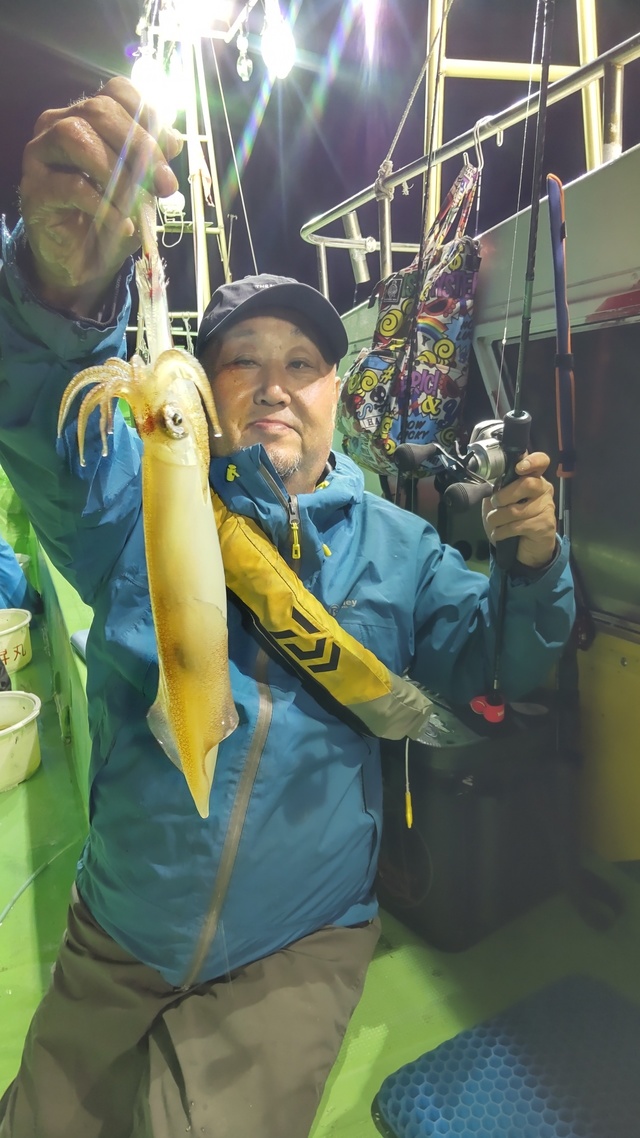 マルイカ(ケンサキイカ)