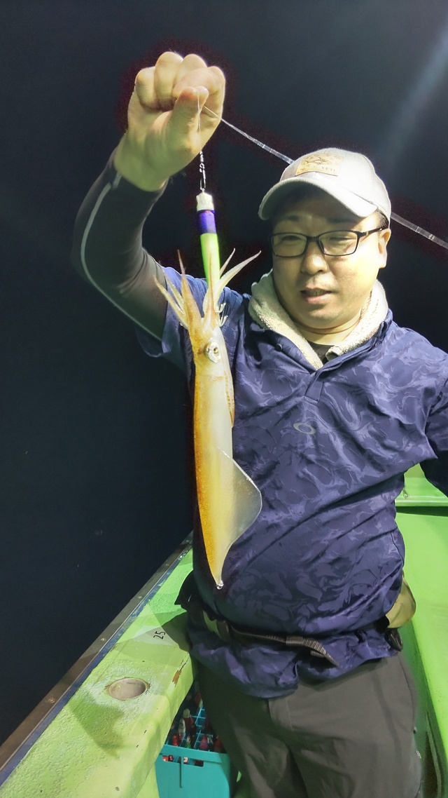 マルイカ(ケンサキイカ)