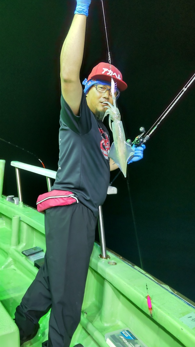 マルイカ(ケンサキイカ)