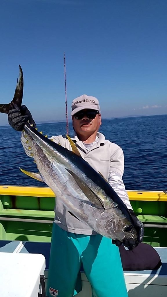 キメジ(キハダ)