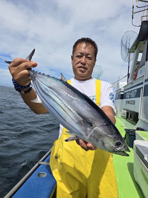 キメジ(キハダ)