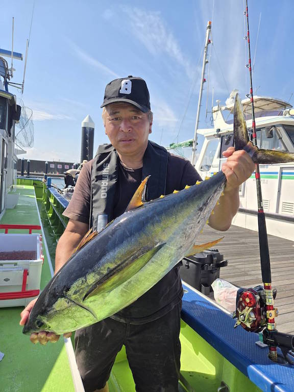 キメジ(キハダ)