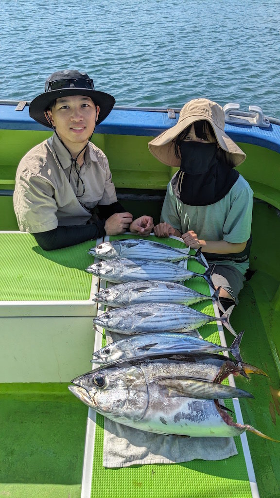 キメジ(キハダ)・カツオ