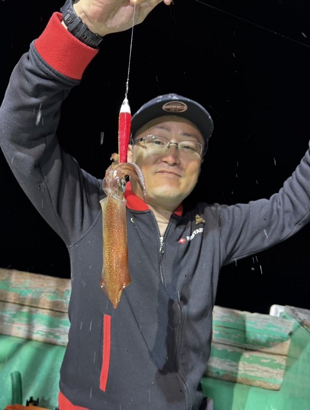 マルイカ(ケンサキイカ)