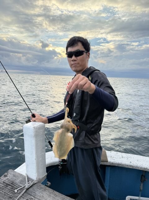 アオリ(アオリイカ)