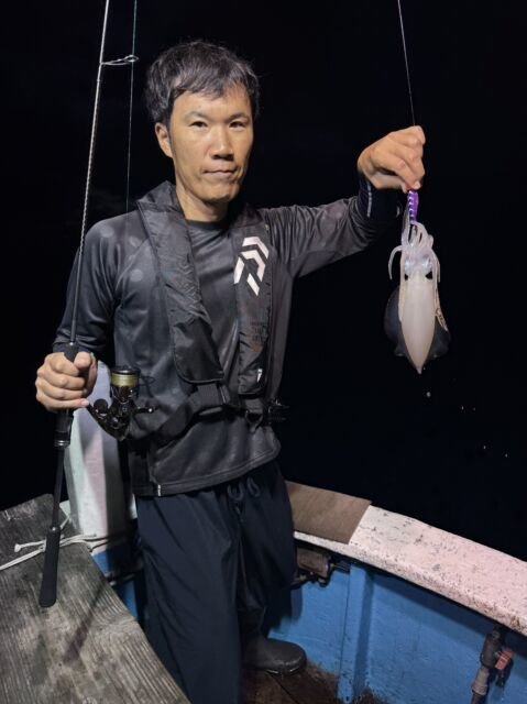 マイカ(ケンサキイカ)