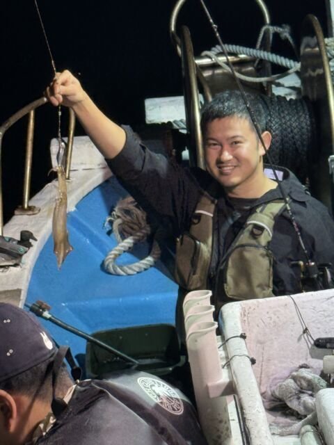 マイカ(ケンサキイカ)